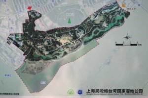 上海炮台湾国家湿地公园，因清水师炮台而名，捉螃蟹，长江吴淞口